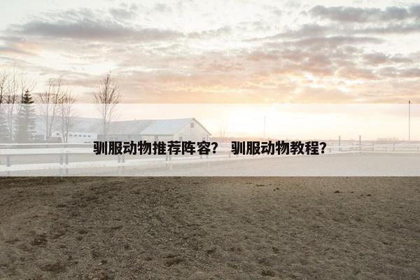 驯服动物推荐阵容？ 驯服动物教程？