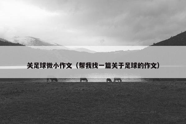 关足球微小作文（帮我找一篇关于足球的作文）