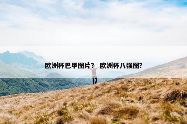 欧洲杯巴甲图片？ 欧洲杯八强图？