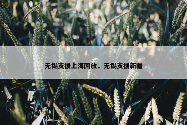 无锡支援上海回放，无锡支援新疆