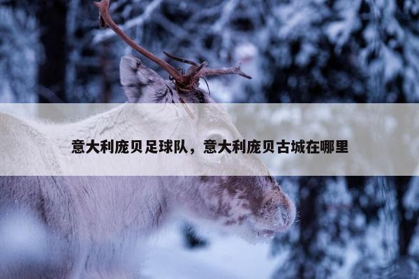 意大利庞贝足球队，意大利庞贝古城在哪里