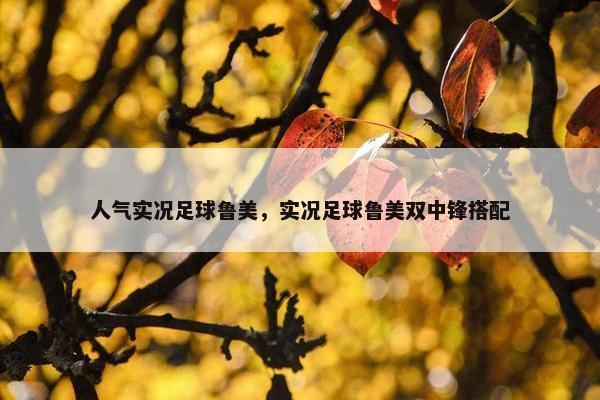 人气实况足球鲁美，实况足球鲁美双中锋搭配