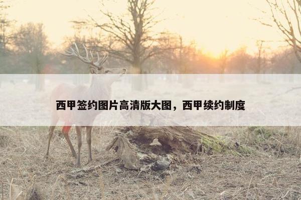 西甲签约图片高清版大图，西甲续约制度