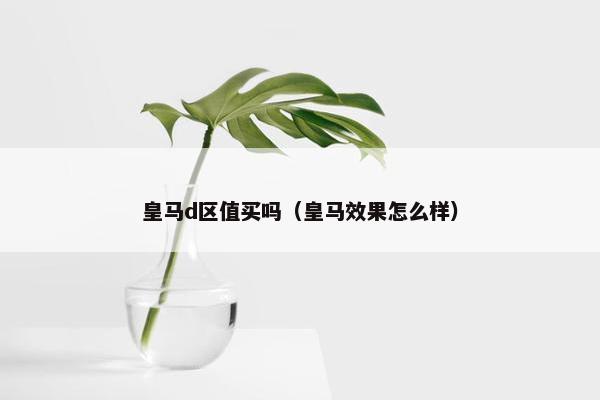 皇马d区值买吗（皇马效果怎么样）