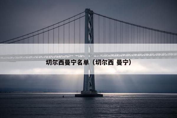切尔西曼宁名单（切尔西 曼宁）