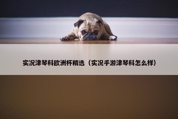 实况津琴科欧洲杯精选（实况手游津琴科怎么样）