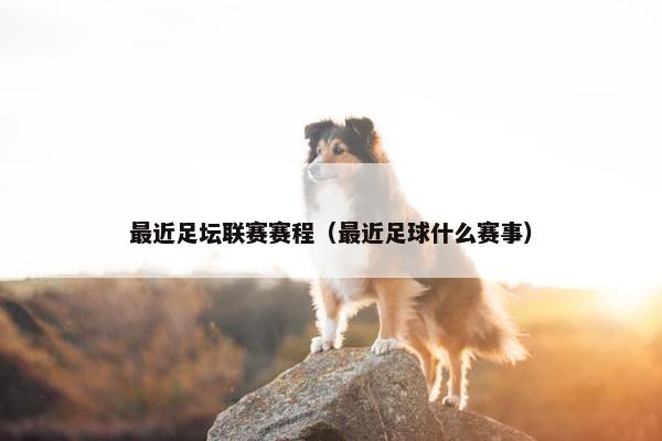 最近足坛联赛赛程（最近足球什么赛事）