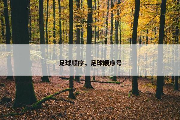 足球顺序，足球顺序号
