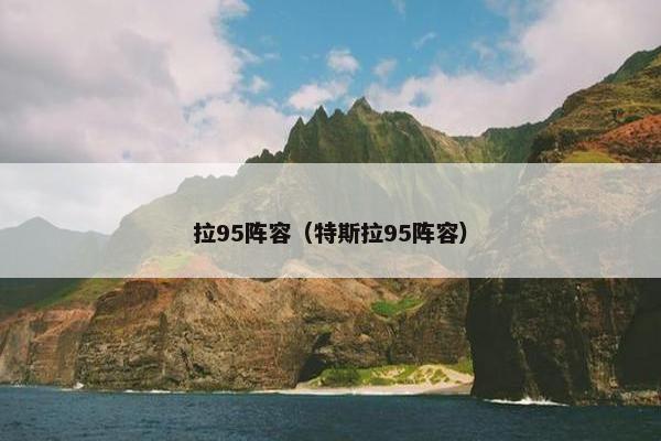 拉95阵容（特斯拉95阵容）