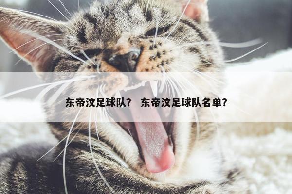 东帝汶足球队？ 东帝汶足球队名单？
