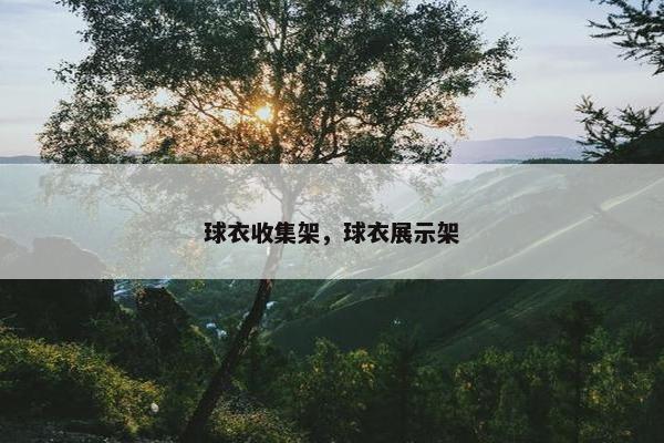 球衣收集架，球衣展示架