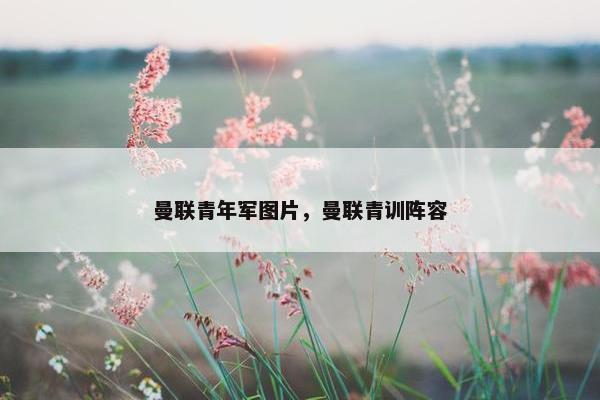 曼联青年军图片，曼联青训阵容