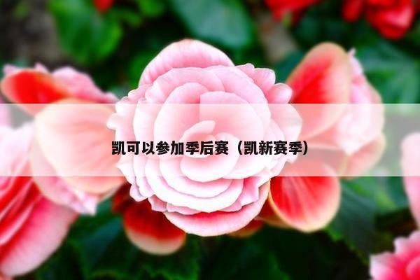 凯可以参加季后赛（凯新赛季）