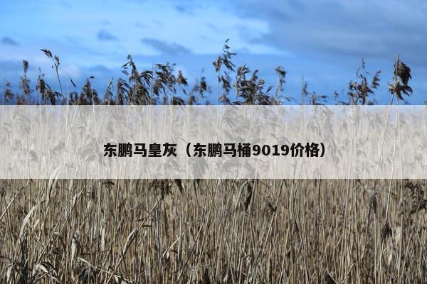 东鹏马皇灰（东鹏马桶9019价格）