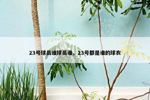23号球员谁球员谁，23号都是谁的球衣