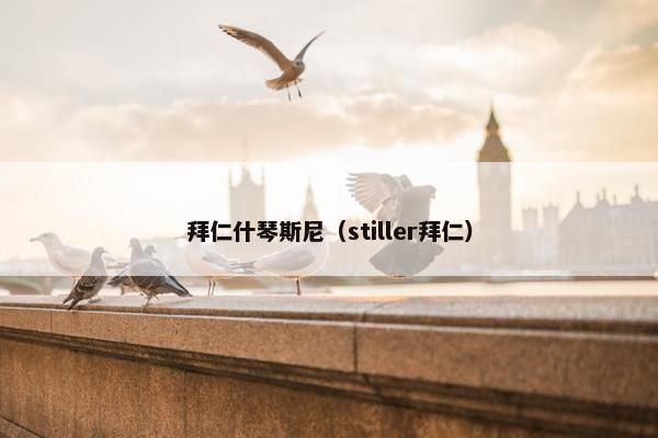 拜仁什琴斯尼（stiller拜仁）