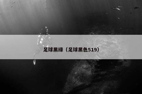 足球黑绿（足球黑色519）