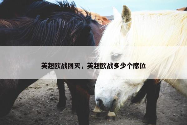 英超欧战团灭，英超欧战多少个席位