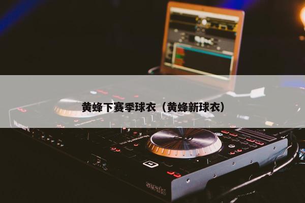 黄蜂下赛季球衣（黄蜂新球衣）