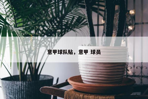 意甲球队贴，意甲 球员