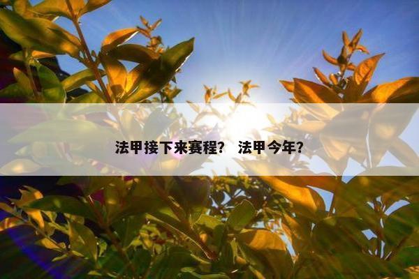 法甲接下来赛程？ 法甲今年？