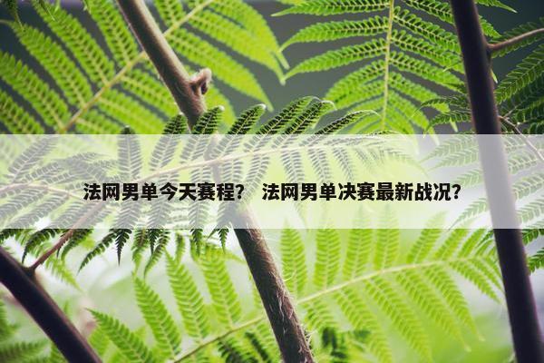 法网男单今天赛程？ 法网男单决赛最新战况？