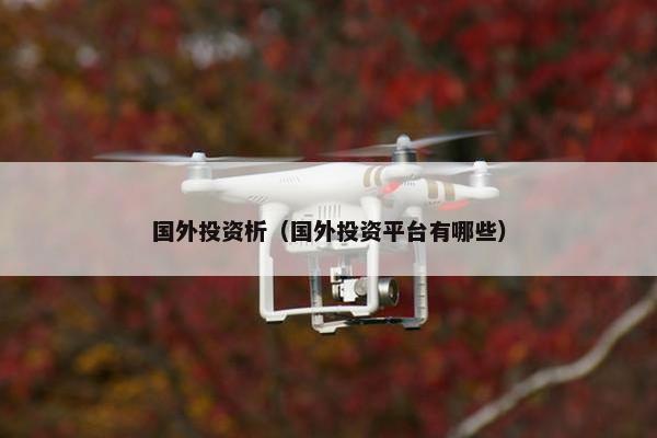 国外投资析（国外投资平台有哪些）
