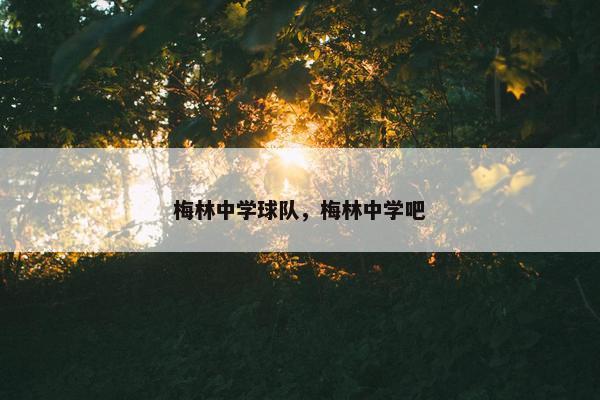 梅林中学球队，梅林中学吧