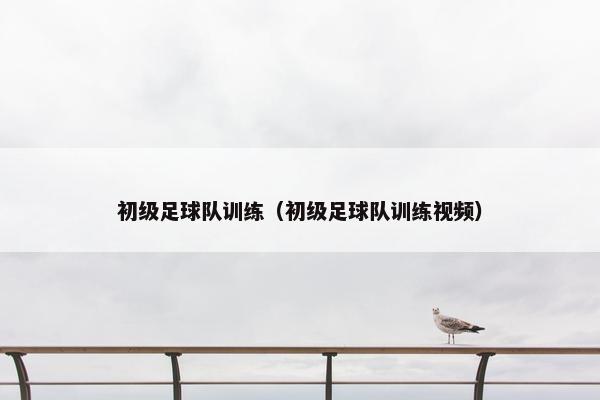 初级足球队训练（初级足球队训练视频）
