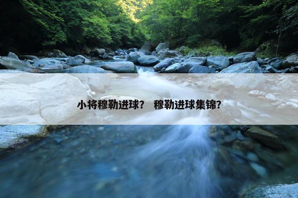 小将穆勒进球？ 穆勒进球集锦？