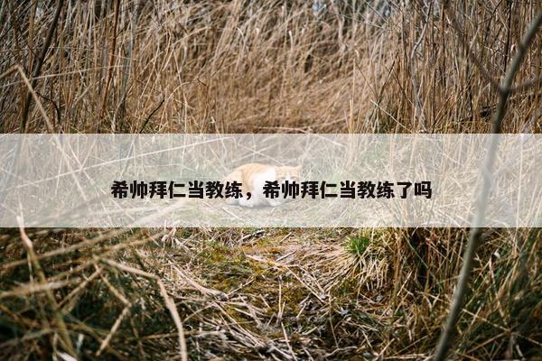 希帅拜仁当教练，希帅拜仁当教练了吗