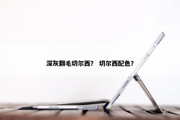深灰翻毛切尔西？ 切尔西配色？