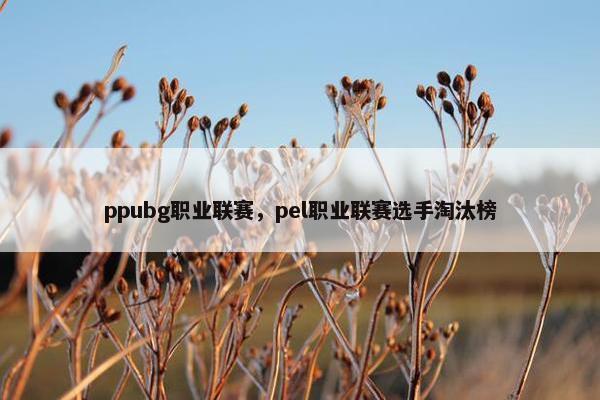 ppubg职业联赛，pel职业联赛选手淘汰榜