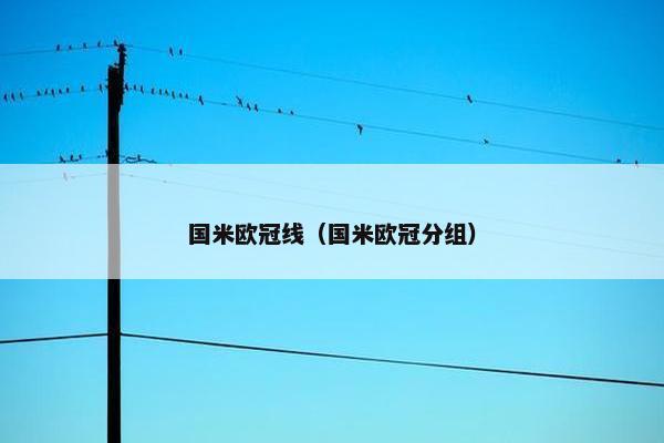 国米欧冠线（国米欧冠分组）