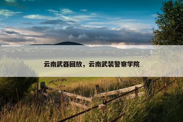 云南武器回放，云南武装警察学院