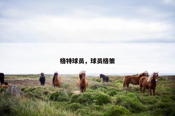 格特球员，球员格策