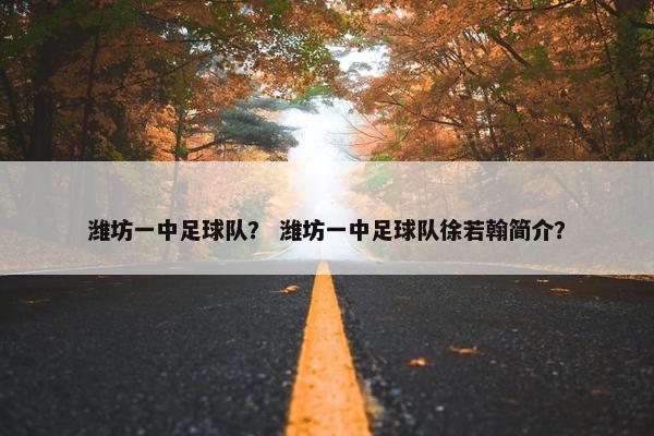 潍坊一中足球队？ 潍坊一中足球队徐若翰简介？