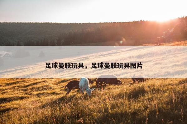 足球曼联玩具，足球曼联玩具图片