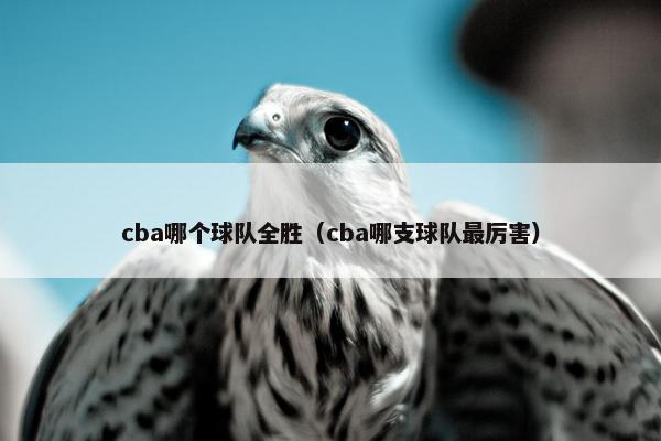 cba哪个球队全胜(cba哪支球队最厉害) cba哪个球队全胜(cba哪支球队最厉害)
