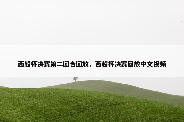 西超杯决赛第二回合回放，西超杯决赛回放中文视频