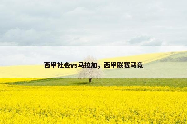 西甲社会vs马拉加，西甲联赛马竞