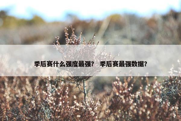 季后赛什么强度最强？ 季后赛最强数据？