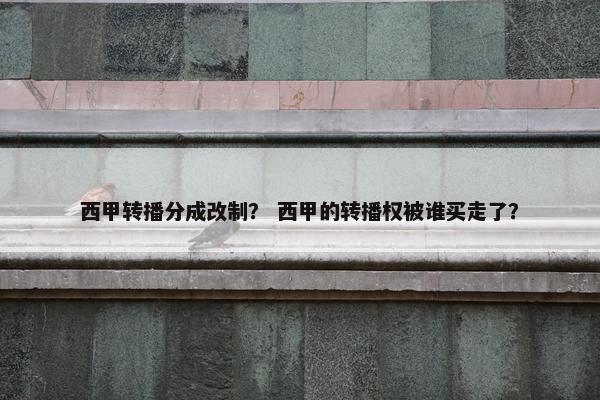 西甲转播分成改制？ 西甲的转播权被谁买走了？