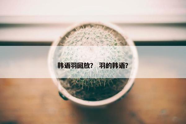 韩语羽回放? 羽的韩语? 韩语羽回放? 羽的韩语?