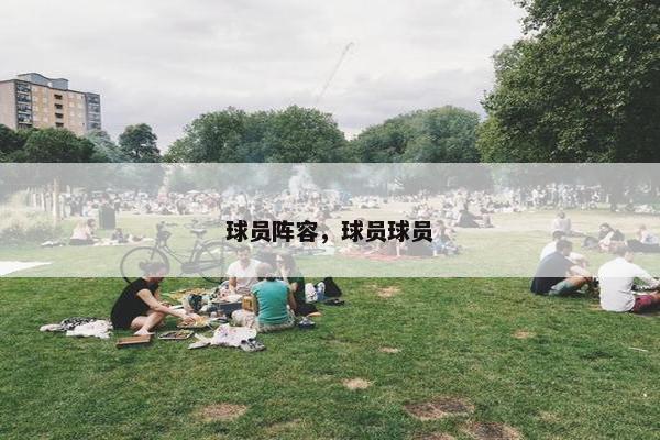 球员阵容，球员球员