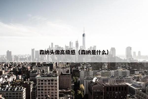 森纳头像高级感(森纳是什么) 森纳头像高级感(森纳是什么)