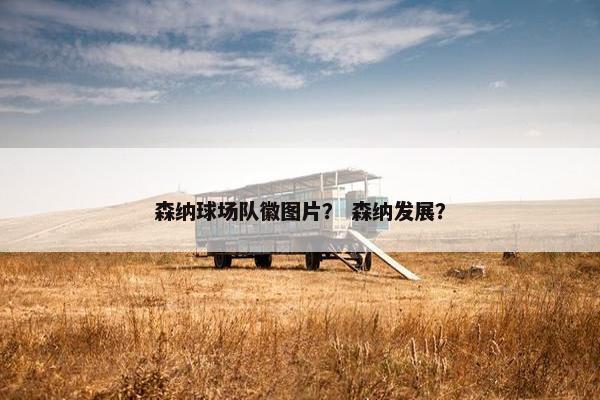 森纳球场队徽图片？ 森纳发展？