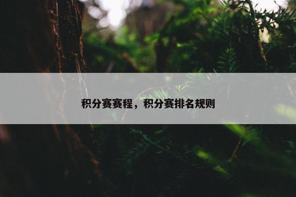 积分赛赛程，积分赛排名规则