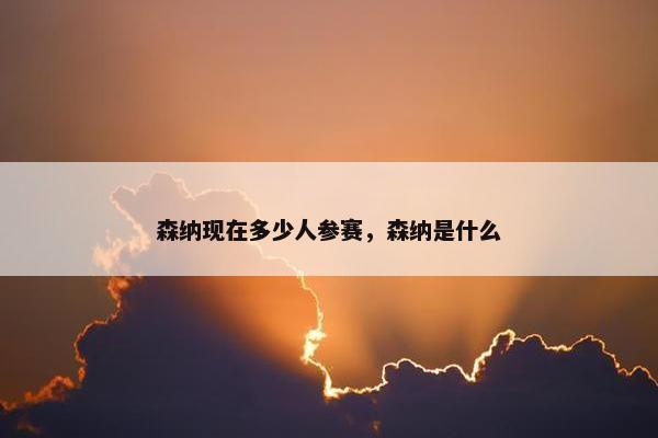森纳现在多少人参赛，森纳是什么