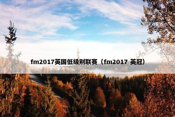 fm2017英国低级别联赛（fm2017 英冠）
